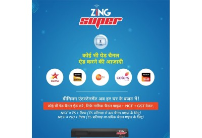 Dish TV Zing  Super FTA HD Box With 200+ FTA Channels & Services | No Recharge for 4 Years 